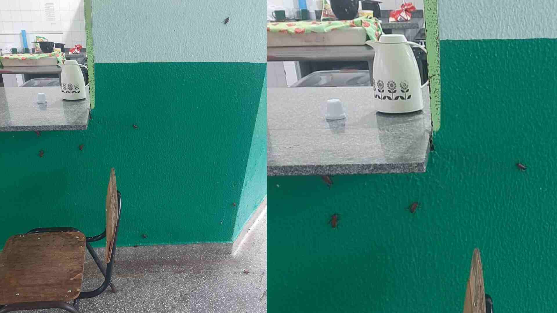 ‘Que nojo’: aparecimento de baratas em cantina de escola municipal choca moradores de Figueirão