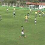 Aefa sucumbe ao Palmeiras ao levar 11 gols e vê sonho da Copa do Brasil acabar