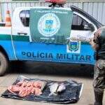 Polícia autua dois infratores em R$ 2,8 mil por transporte ilegal de 74 kg de peixes