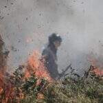 Governo afirma que incêndios no Pantanal estão controlados e Bombeiros atuam no rescaldo