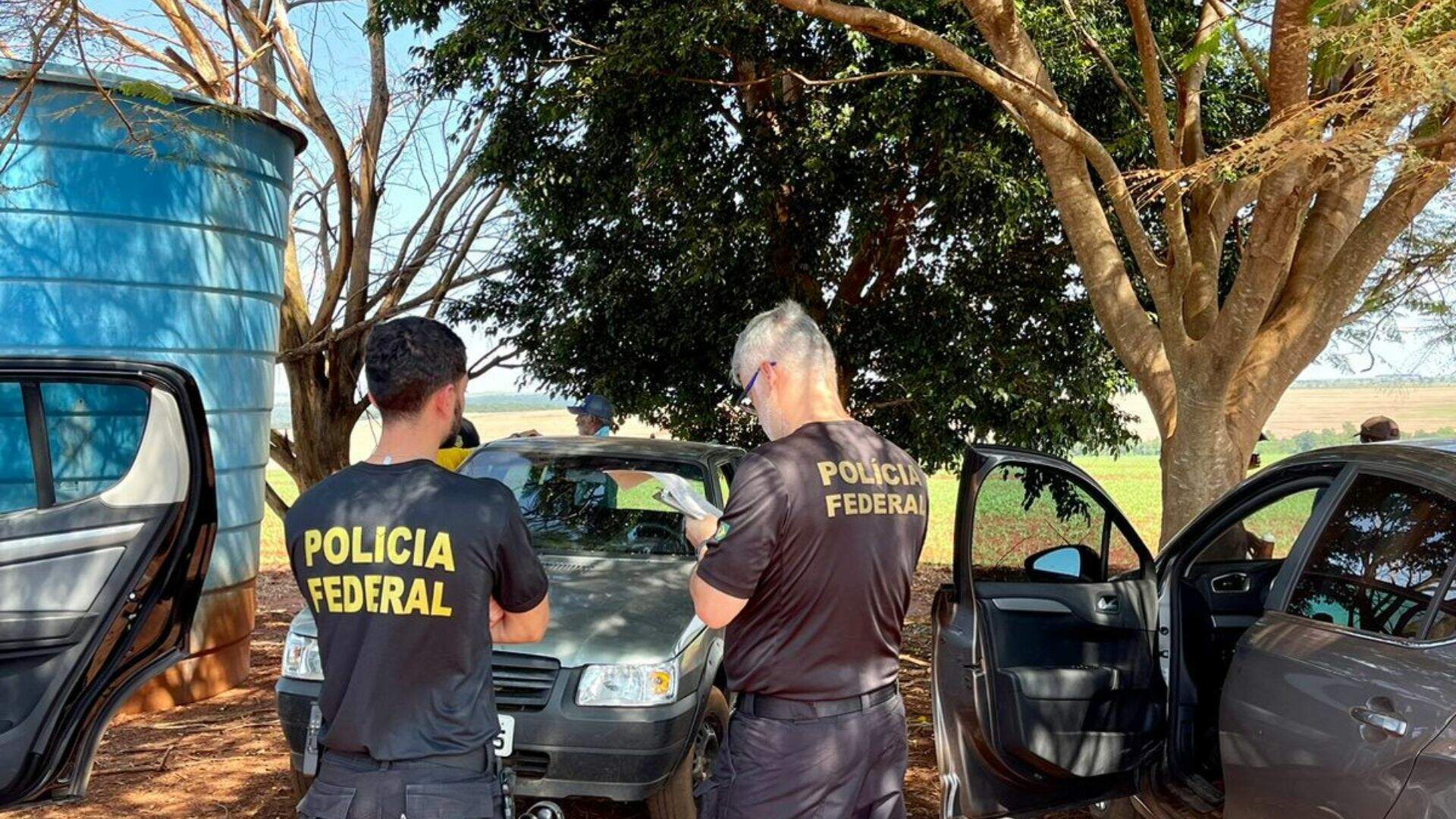 Grupo que trocava vídeos com estupros de crianças é alvo da Polícia Federal após alerta de ONG