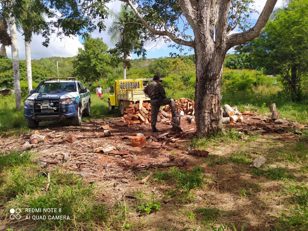 Três são multados por extração de madeira ilegal e e apreende caminhão