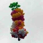 ‘Jamais chegaria em Dourados’, diz piloto sobre padre que fez voo com mil balões