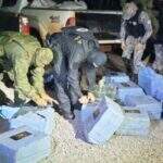 Operação da PF apreende quase meia tonelada de cocaína boliviana em Mato Grosso