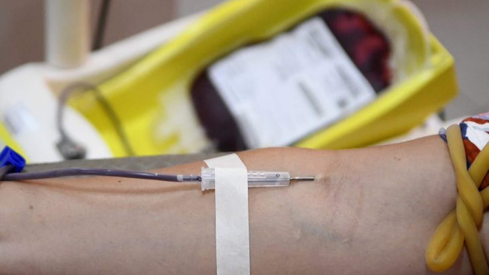 Doações de sangue no feriado prolongado: Hemosul adota esquema especial de atendimento