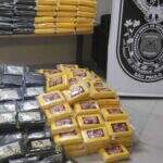 Carreta de MS é interceptada em São Paulo com carga milionária de cocaína