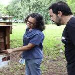 Parque das Nações Indígenas recebe curso sobre criação de abelhas neste domingo