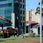 Prefeitura remove figueira centenária do canteiro central da Avenida Afonso Pena