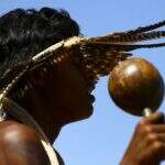 Funai avança em reconhecimento de terras indígenas Krenak e Munduruku