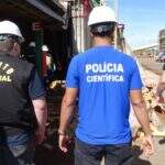 Polícia Civil incinera mais de 800 quilos de maconha em Três Lagoas