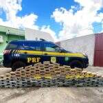 Polícia Rodoviária apreende quase 200 quilos de cocaína na BR-262 em MS