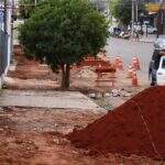 Após supressão, empreiteira e prefeitura anulam contrato de “tapa-buracos” em Aparecida do Taboado