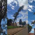 “Uma vergonha!”, moradores criticam Energisa e relatam medo por árvore ‘pendurada’ em fios