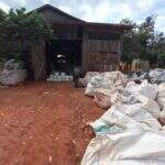 Dono de depósito é multado em R$ 50 mil por armazenar 1,8 mil embalagens de agrotóxicos