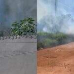 Tempo seco e queimada são pesadelos para vizinhos de terrenos baldios de Campo Grande