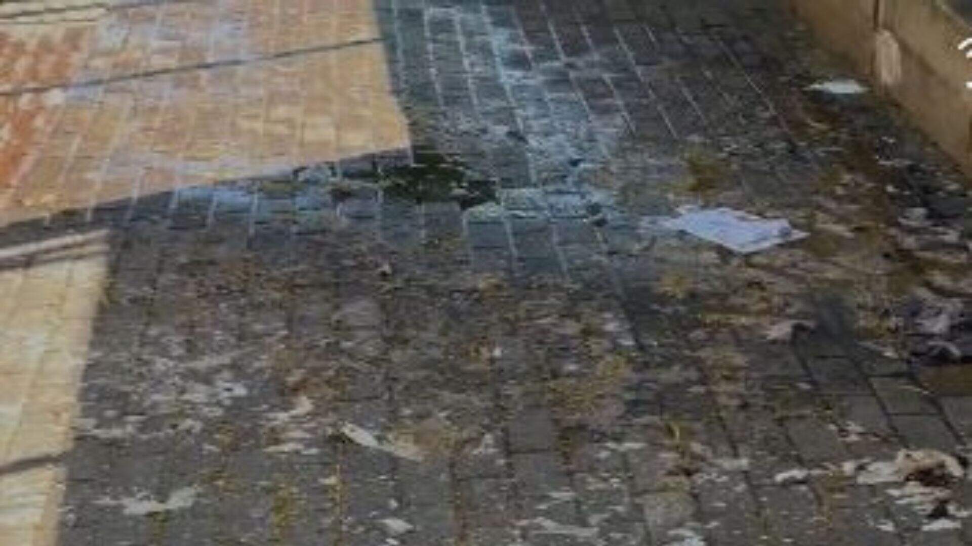 VÍDEO: Esgoto de prédio público escorre em calçada e irrita pedestres na Afonso Pena