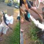 VÍDEO: Pesca de ‘peixões’ na Lagoa Itatiaia surpreende, mas PMA esclarece que é liberado