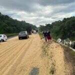 Douradense morre após colidir carreta lotada de soja em rodovia no Paraná