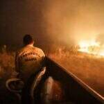 MS quer intensificar ações de prevenção e combate a incêndios florestais no Pantanal
