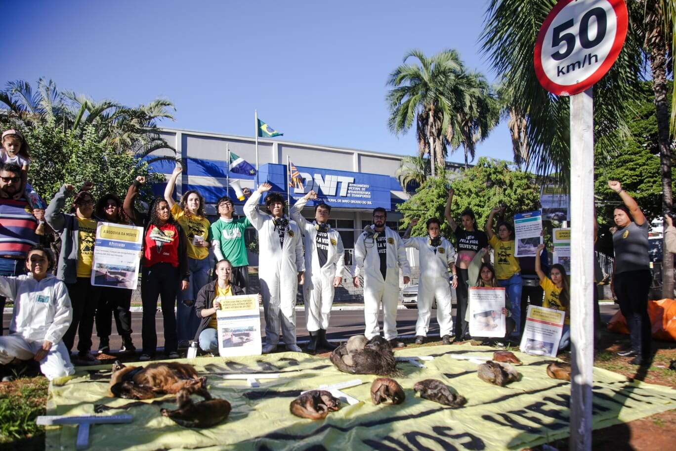 Grupo usa bichos congelados para protestar por mais segurança em rodovias de Mato Grosso do Sul