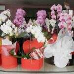 Com presentes a partir de R$ 10, floriculturas se preparam para os ‘atrasadinhos’ no Dia das Mães