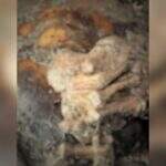 Polícia investiga se cadáver mumificado encontrado em Fátima do Sul é de desaparecido