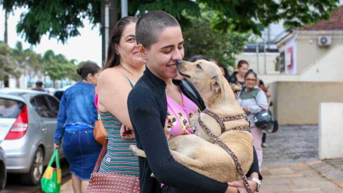 castração divulgação (1)