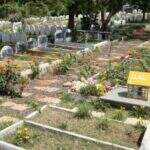 Sem cemitério municipal, despedida dos pets continua pouco acessível em Campo Grande