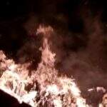 VÍDEO: moradora filma terreno em chamas ao lado de casa no Residencial Búzios