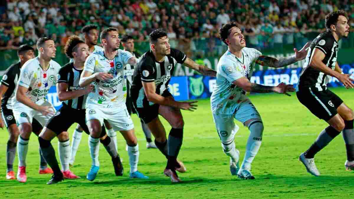 goias botafogo (1)