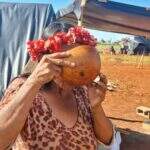 Com despejos e prisões, Mato Grosso do Sul tem uma violação contra indígenas a cada 11 horas