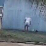 VÍDEO: mulher é flagrada abandonando filhotes de cães no Nova Lima