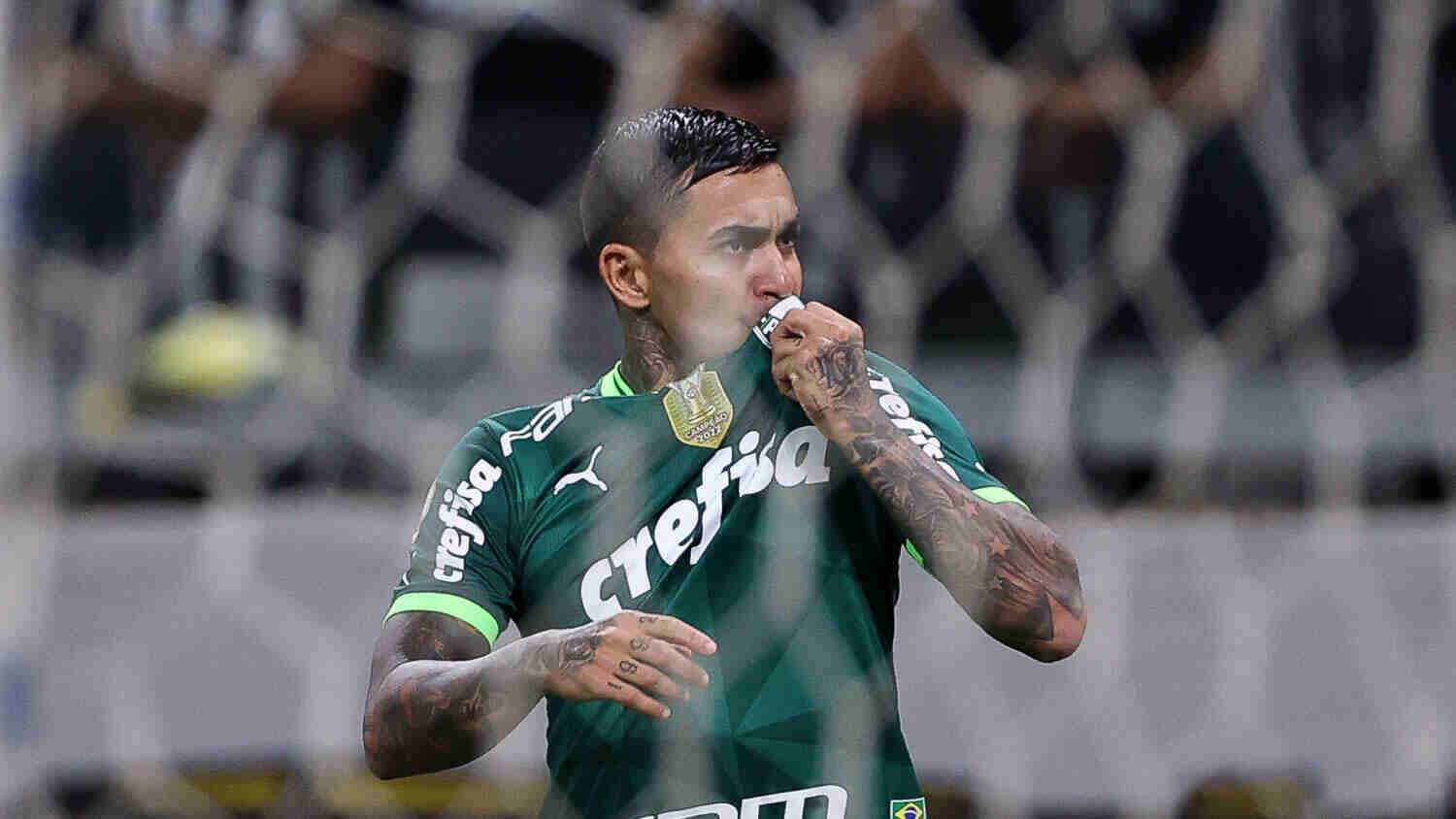 palmeiras dudu (1)