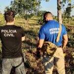 Polícia solucionou crime de furto de gado em Santa Rita do Pardo
