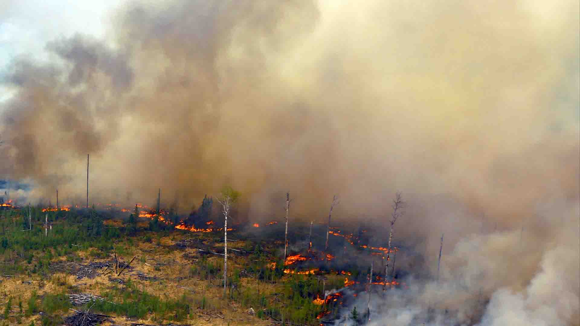 Chuva não consegue apagar os incêndios florestais no Canadá, e fumaça já atinge EUA e Europa
