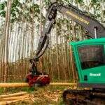 Recrutamento seleciona pessoas para 60 vagas de operador de máquinas de colheita florestal