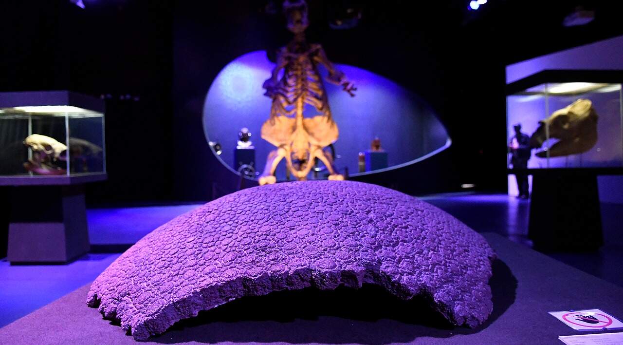 Bioparque