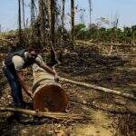 Mato Grosso aplica R$ 712 milhões em multas por desmatamento ilegal até maio