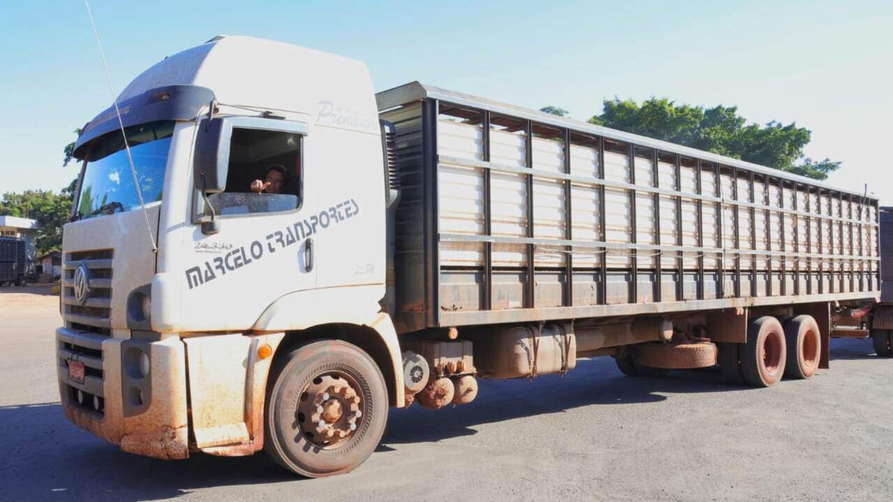 Caminhoneiro