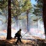 EUA: Fumaça de incêndio florestal canadense espalha névoa perigosa pelo país