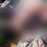 Recém-nascido é encontrado morto em sacola no lixão de Corumbá