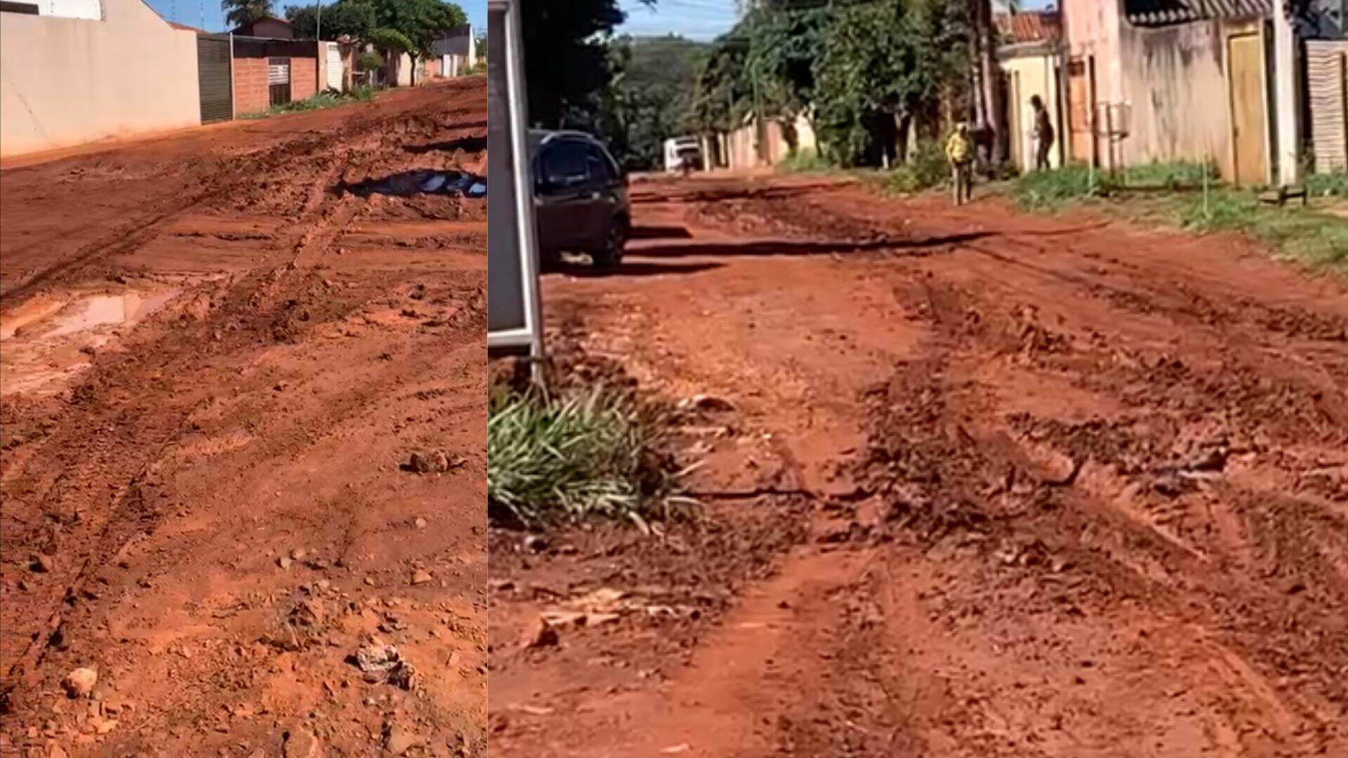 oliveira
