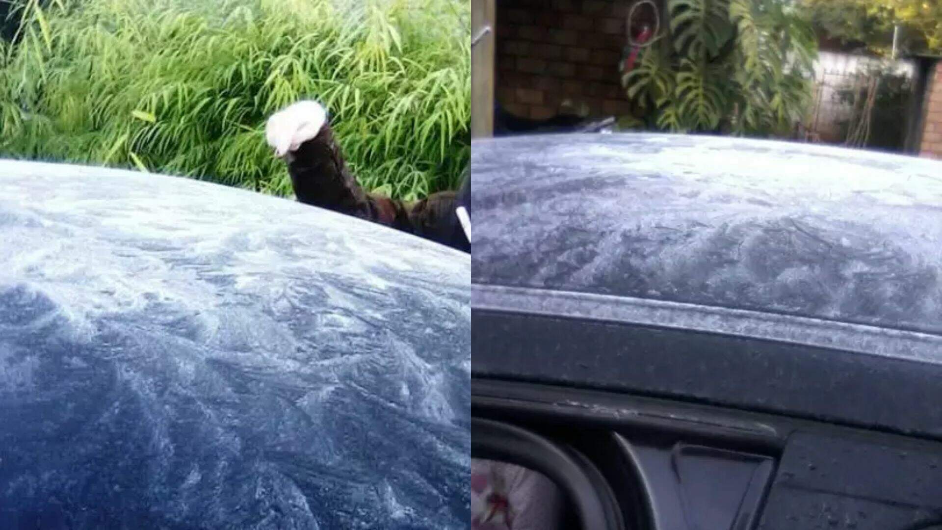 'Neve' em Paranhos 2013