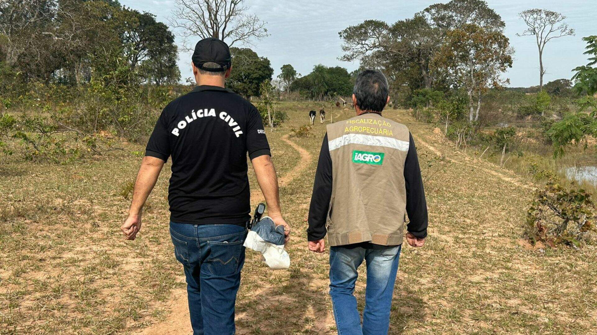 Fiscalização ocorreu nessa terça-feira (18) em Campo Grande. (Divulgação, Polícia Civil)