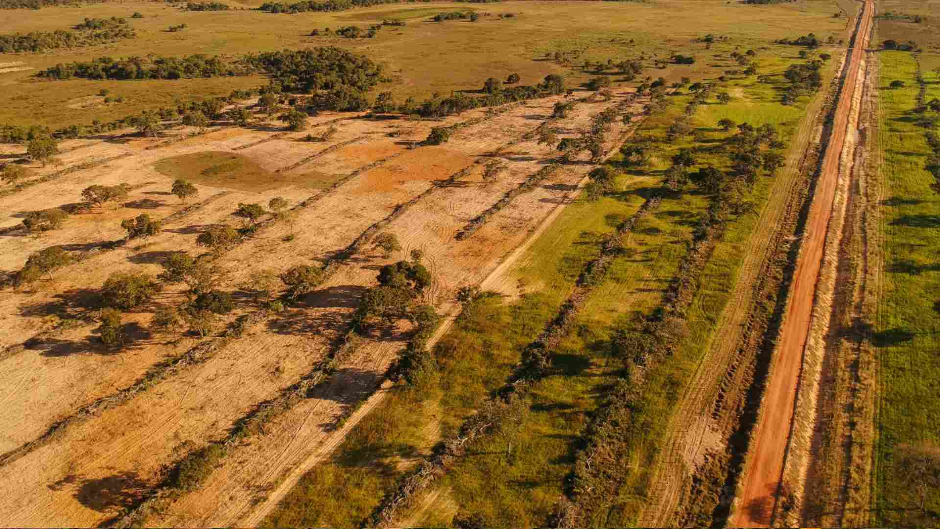 recursos MS pantanal pantanal tce governo obras patrola