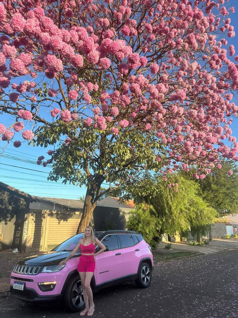 barbie rosa