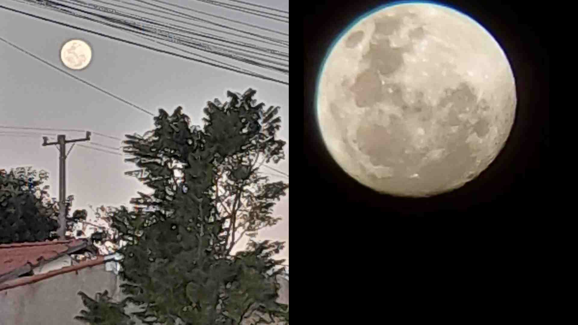 lua