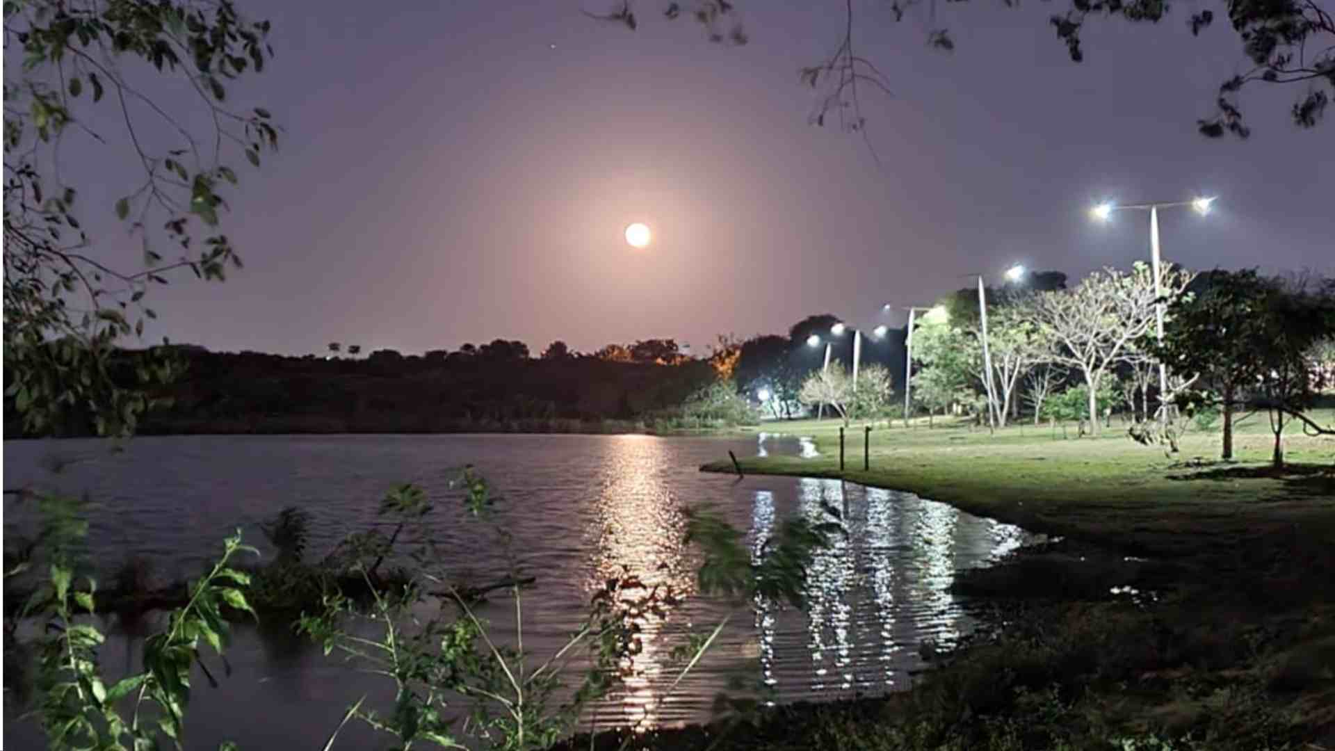 lago amor