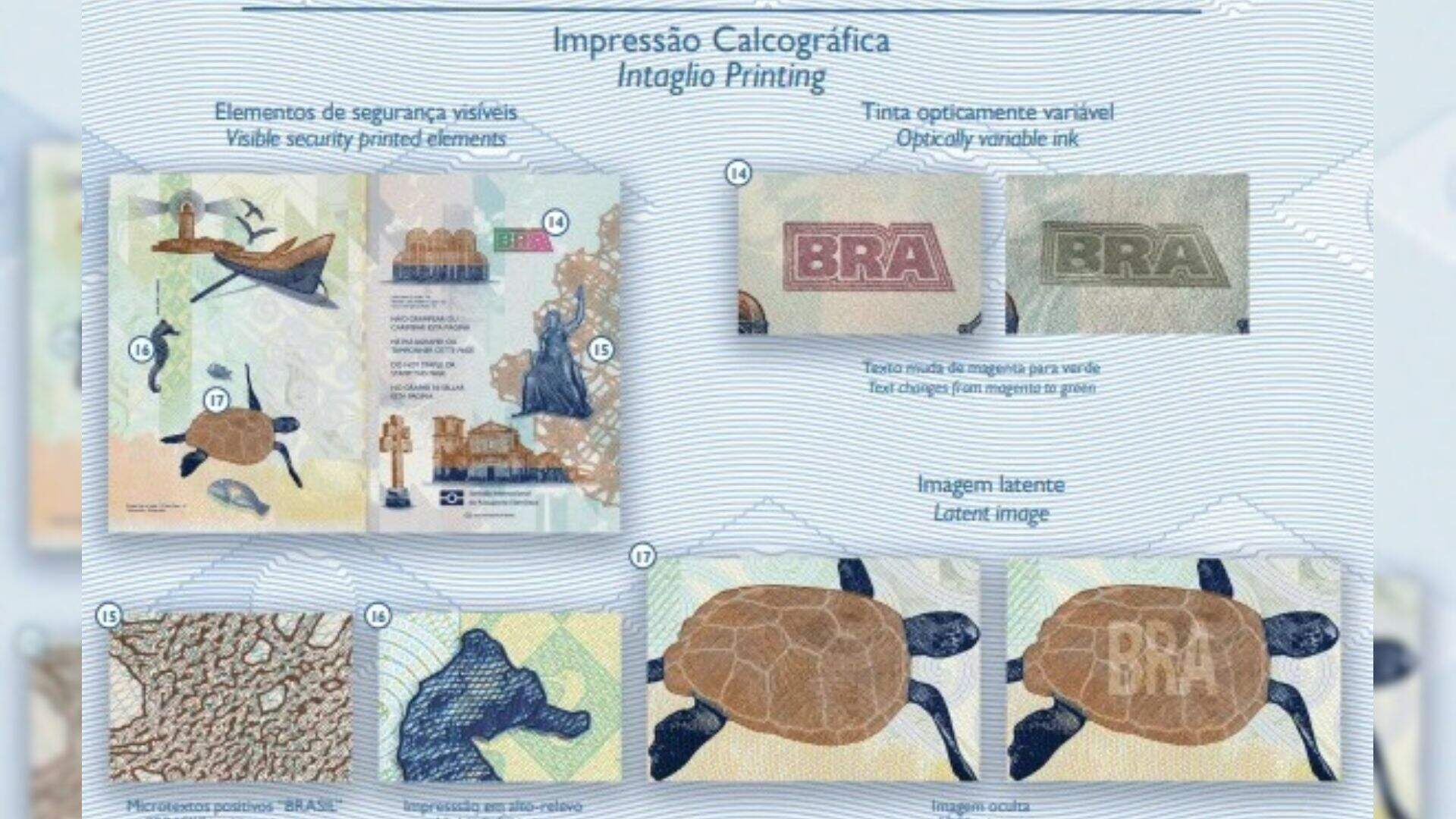 Novo passaporte