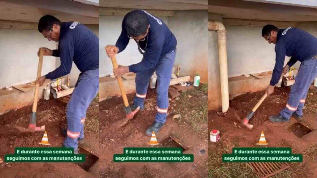 Bioparque Pantanal segue em manutenção para abrir, pela primeira vez, nesta terça-feira (9)